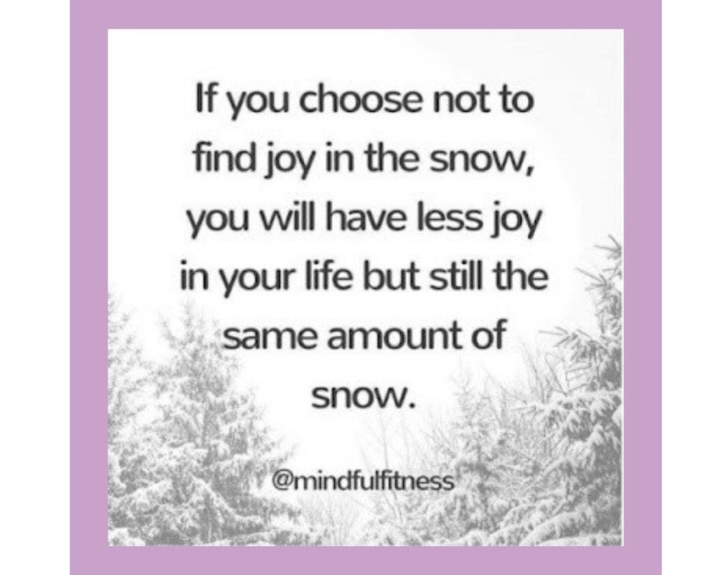 An image of mostly white sky, with some snow-covered pine trees along the lower edges and bottom of the square. The black sanserif font says, "If you choose not to find joy in the snow, you will have less joy in your life but still the same amount of snow." It is credited to @mindfulfitness.